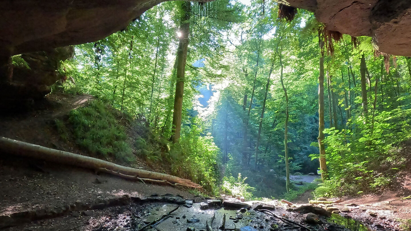 Bärenhöhle bei Rodalben | © Sunhikes