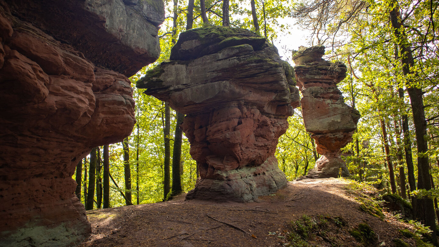 Rumbergtürme vom Lochfels zum Wespenfels | © Sunhikes