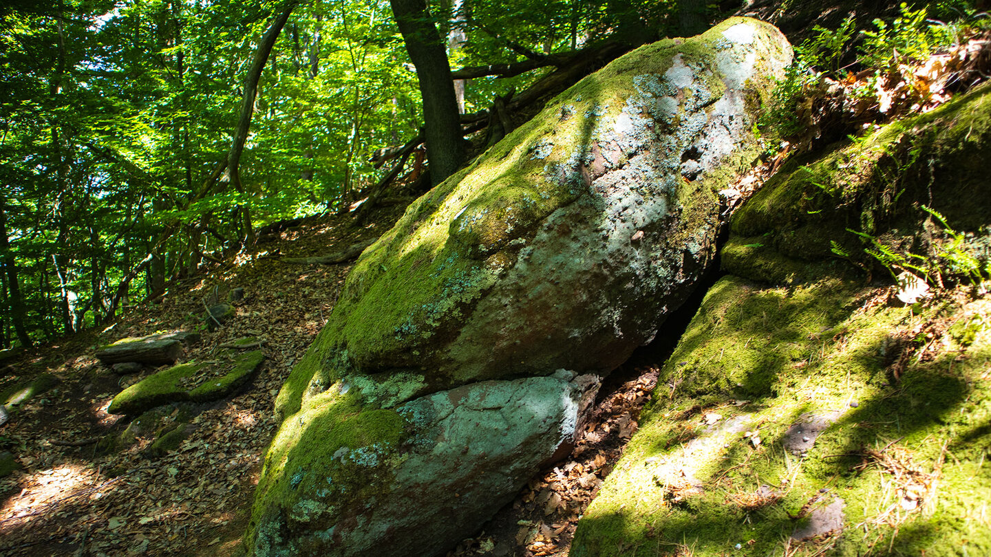 Wanderpfad im Trifelsland | © Sunhikes