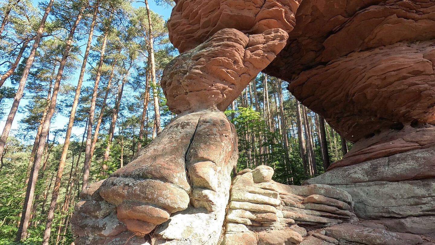 Felsenfester beim Prälatentürmchen | © Sunhikes