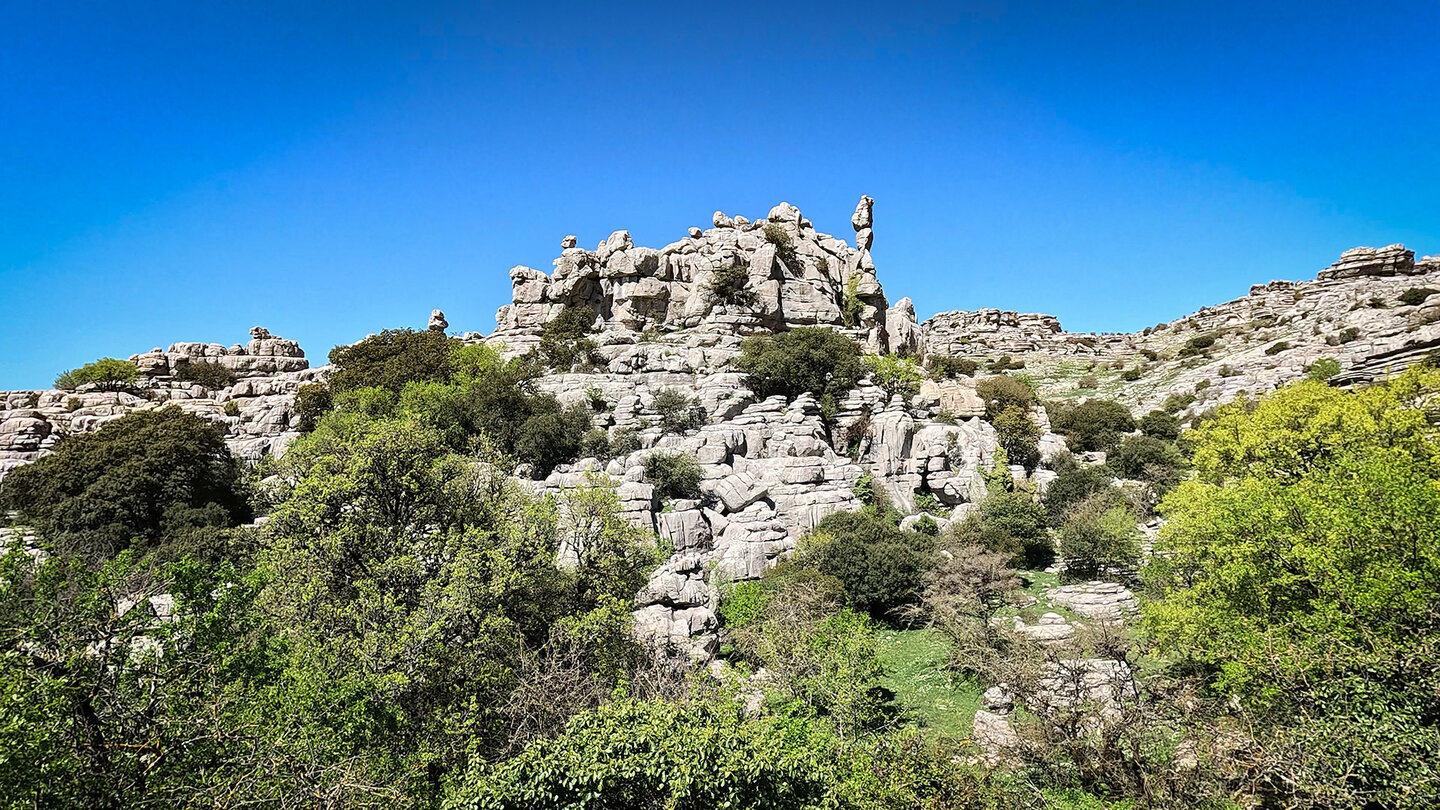 Frühling im Naturpark Torcal de Antequera in Andalusien | © Sunhikes Frühling im Naturpark Torcal de Antequera | © Sunhikes