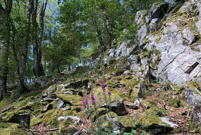 Wanderziele in Frankreich | © ©Sunhikes