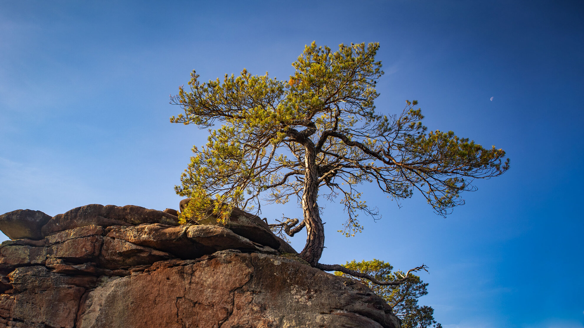Felsenwanderungen im Pfälzerwald | © Sunhikes Felsenwanderwege im Pfälzerwald | © Sunhikes