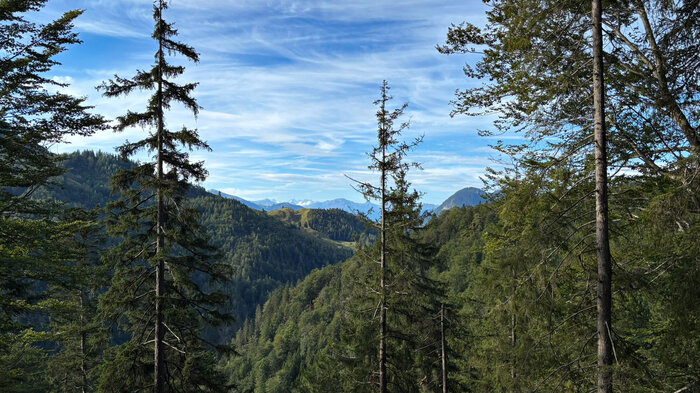 Fernblick Wiedersberger Horn | © Sunhikes