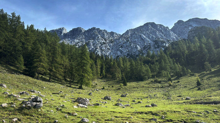 Blick auf den Wilden Kaiser von der Steinbergalm | © Sunhikes