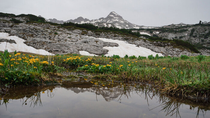 Ausblick Schindlköpfe | © Sunhikes