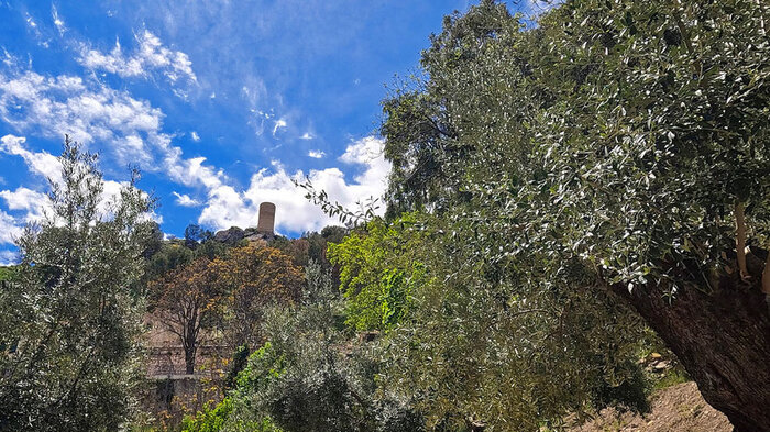 Torreón de Cuadros Bedmar | © Sunhikes