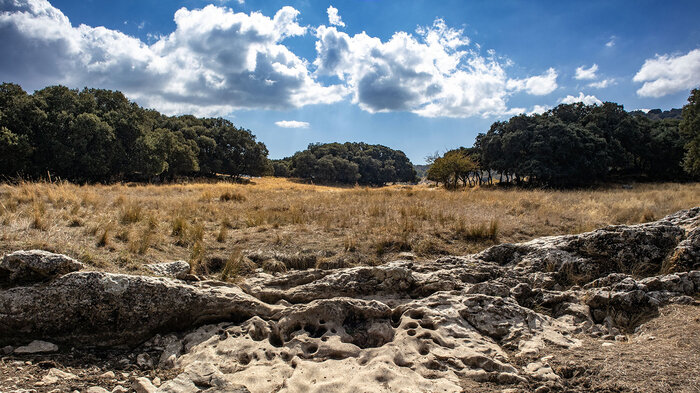 Route Arroyo de la Fuenseca | © Sunhikes