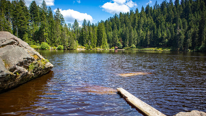 der Glaswaldsee bei Bad Rippoldsau im Schwarzwald | © Sunhikes der Glaswaldsee bei Bad Rippoldsau im Schwarzwald | © Sunhikes