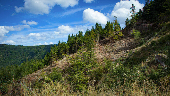 Rappenschliff Bad Griesbach | © Sunhikes