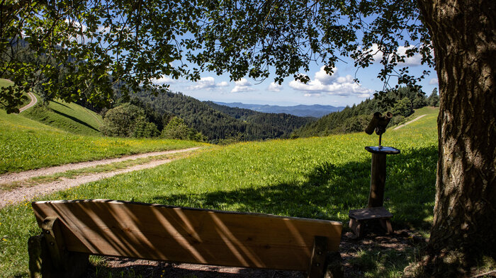 Wandern beim Harkhof im Mittleren Schwarzwald | © Sunhikes