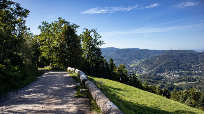 Wanderweg auf dem Merkur bei Baden-Baden | © Sunhikes Wanderweg auf dem Merkur bei Baden-Baden | © Sunhikes