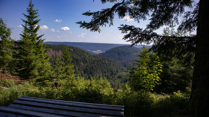 Boesellbach-Tal bei Baiersbronn | © Sunhikes Boesellbach-Tal bei Baiersbronn | © Sunhikes