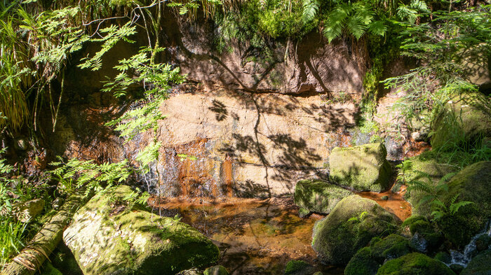 Wandern bei Baiersbronn | © Sunhikes Wandern bei Baiersbronn | © Sunhikes