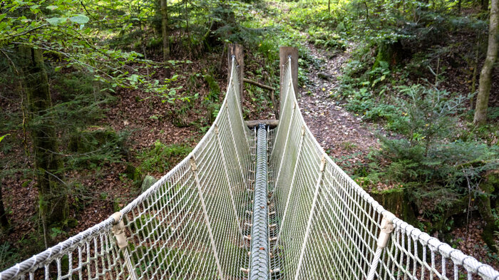Hängebrücke bei Baiersbronn-Friedrichstal | © Sunhikes