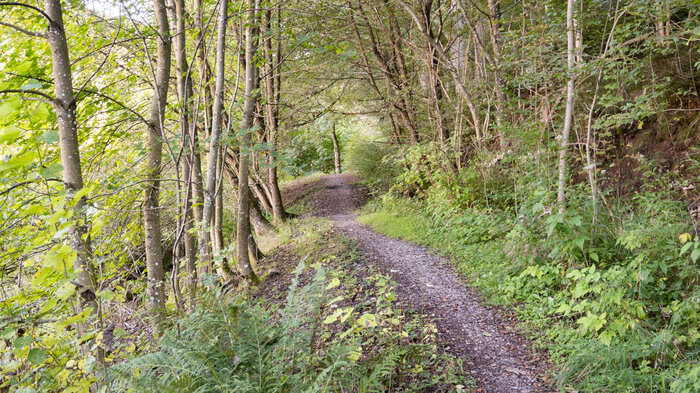 Wandern bei Baiersbronn | © Sunhikes