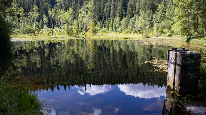 Spiegelung im Ellbachsee bei Baiersbronn | © Sunhikes