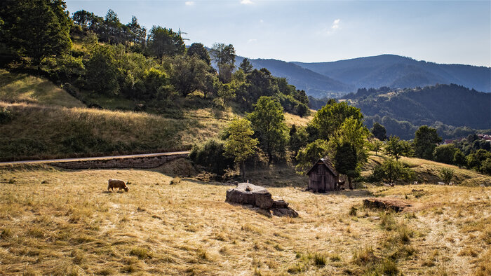 das Kauersbachtal bei Gausbach | © Sunhikes