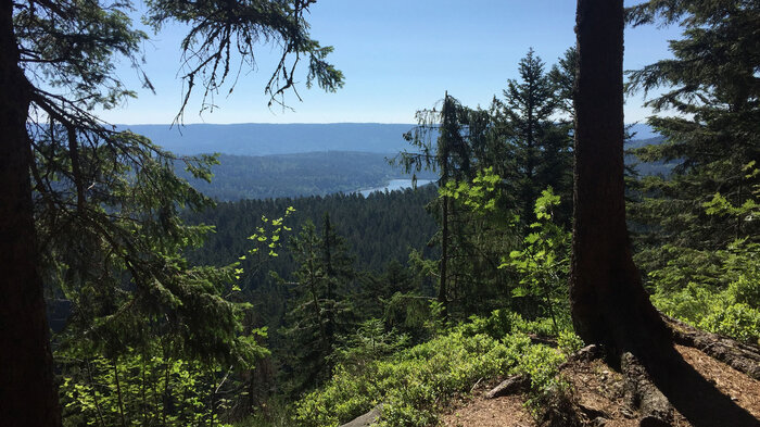 Blick auf die Schwarzenbach-Talsperre | © Sunhikes Blick auf die Schwarzenbach-Talsperre | © Sunhikes