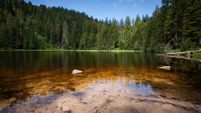 der Wildsee im Nationalpark Schwarzwald | © Sunhikes Wildsee im Nationalpark Schwarzwald | © Sunhikes