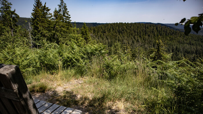 Ausblick über den Nordschwarzwald bei Hundsbach | © Sunhikes Ausblick über den Nordschwarzwald bei Hundsbach | © Sunhikes