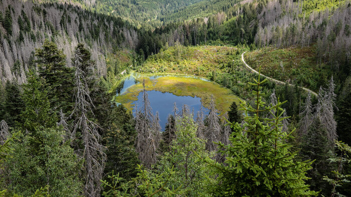 der Huzenbacher Seeblick bei Baiersbronn | © Sunhikes der Huzenbacher Seeblick bei Baiersbronn | © Sunhikes