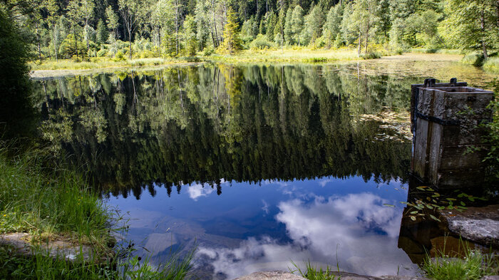 Ellbachsee | © Sunhikes