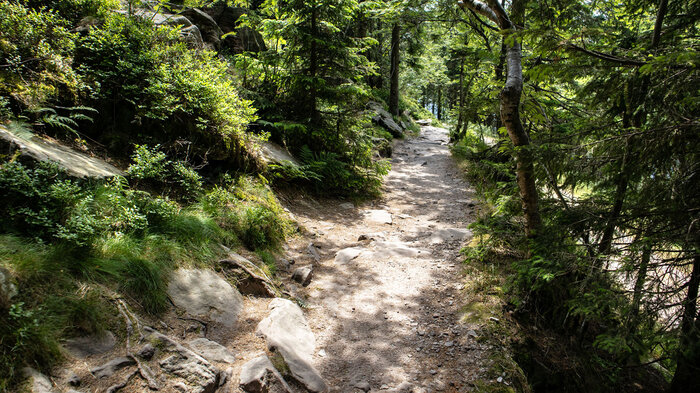 Weg Hornisgrinde | © Sunhikes