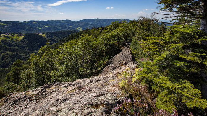 Blick Felsformationen Karlsruher Grat | © Sunhikes