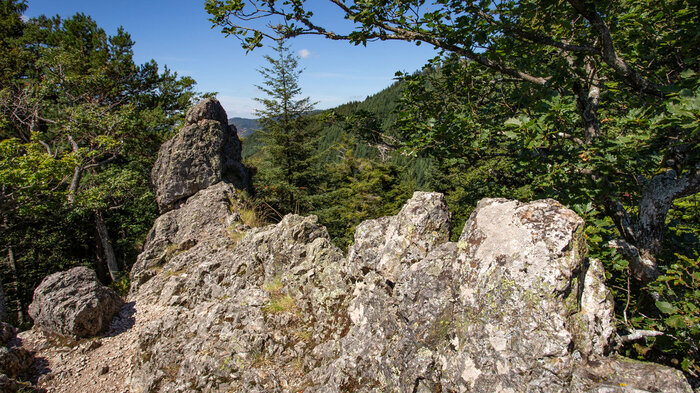 Felsspitze Karlsruher Grat | © Sunhikes