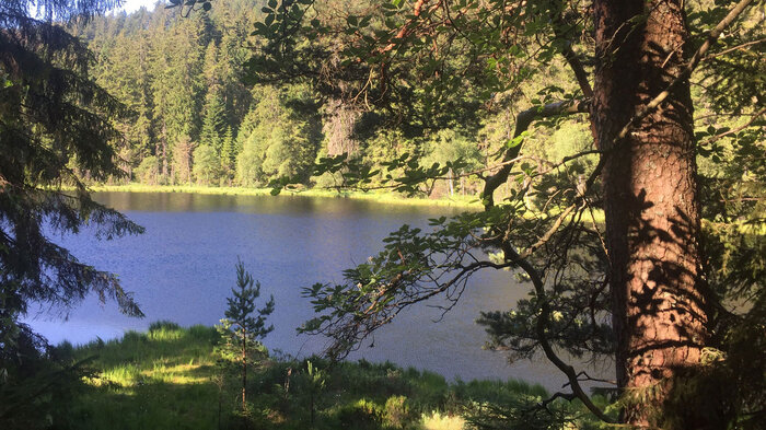 der Herrenwieser See | © Sunhikes