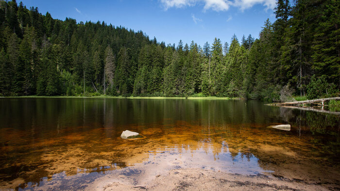 Wildsee | © Sunhikes