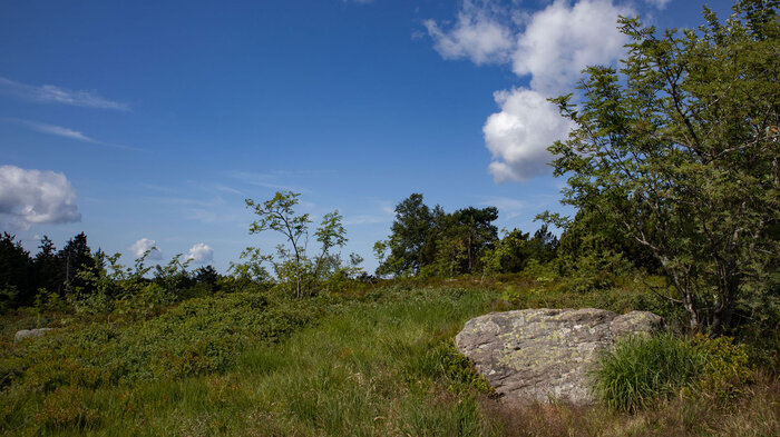 Hochebene am Schliffkopf | © Sunhikes