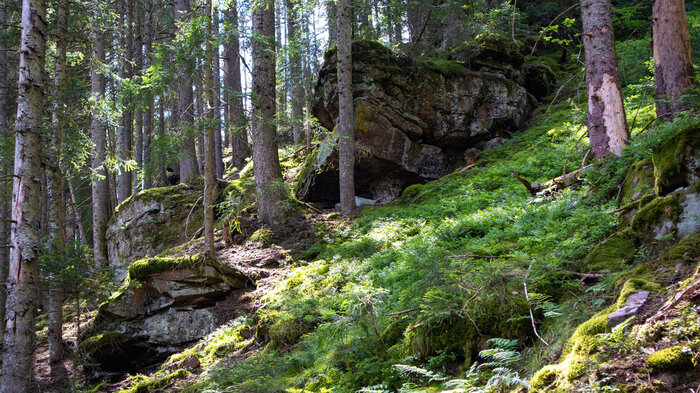 Felsformationen Baiersbronner Holzmachertour | © Sunhikes