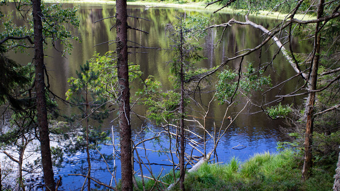 der Wildsee am Ruhestein | © Sunhikes der Wildsee am Ruhestein | © Sunhikes