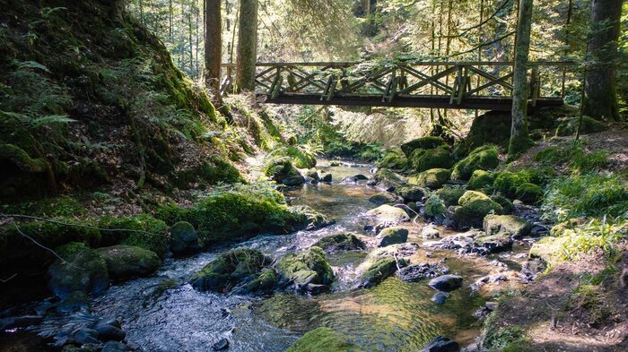 Wandern von Ödenbach in die Ravennaschlucht | © Sunhikes