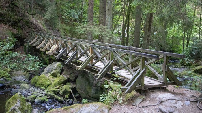 Wanderweg in der Ravennaschlucht nahe Ödenbach | © Sunhikes