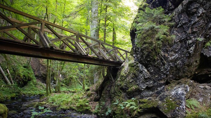 Wandern in der Ravennaschlucht bei Breitnau im Südschwarzwald | © Sunhikes Wandern in der Ravennaschlucht bei Breitnau im Südschwarzwald | © Sunhikes