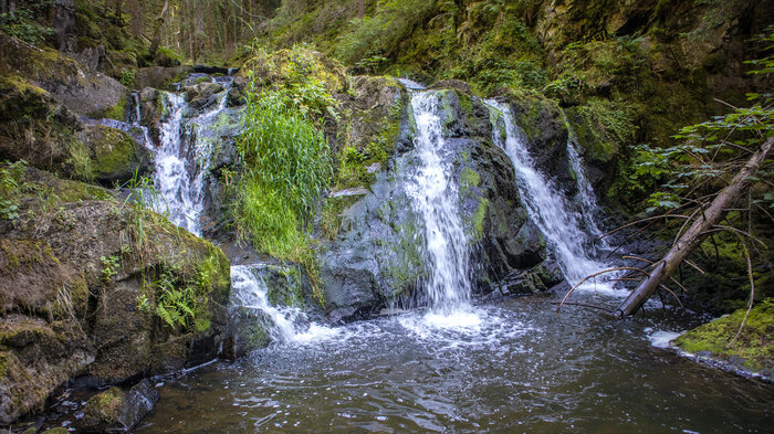 Wandertour von Döggingen in die Röthenbachschlucht | © Sunhikes Wandertour von Döggingen in die Röthenbachschlucht | © Sunhikes