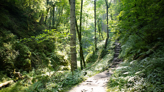 Wandern von Döggingen in die Engeschlucht | © Sunhikes Wandern von Döggingen in die Engeschlucht | © Sunhikes