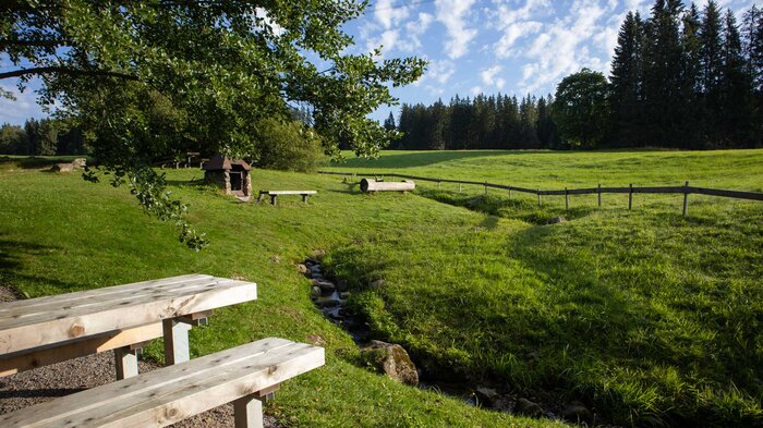Wandern ab Hinterzarten im Schwarzwald | © Sunhikes Wandern ab Hinterzarten im Schwarzwald | © Sunhikes