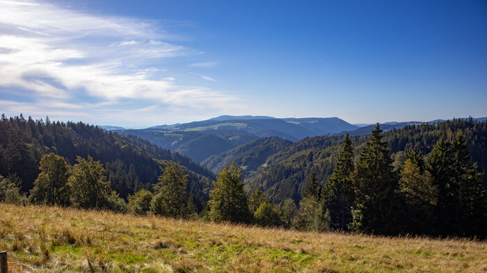 Schwarzwaldpanorama bei Hinterzarten | © Sunhikes Schwarzwaldpanorama bei Hinterzarten | © Sunhikes