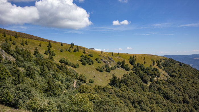 Wanderung zum Belchen von Neuenweg im Kleinen Wiesental | © Sunhikes Wanderung zum Belchen von Neuenweg im Kleinen Wiesental | © Sunhikes