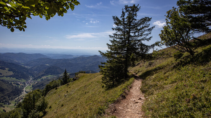Wandern von Wieden auf den Belchen | © Sunhikes