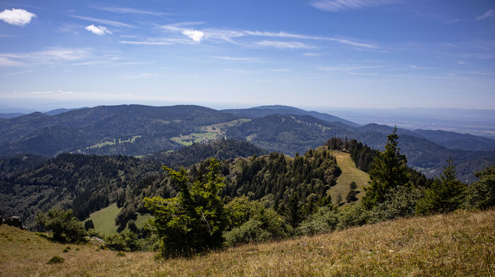 Ausblick vom Belchen zum Hohlekelch | © Sunhikes