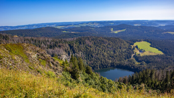 Blick vom Feldberg auf den Feldsee | © Sunhikes Blick vom Feldberg auf den Feldsee | © Sunhikes