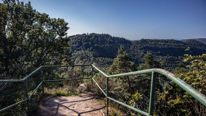 Ausblick vom Kuhnertkopf zur Wegelnburg | © Sunhikes