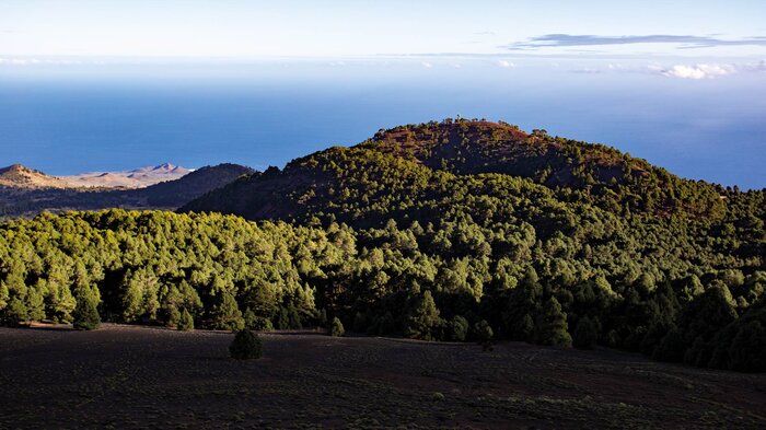 Wandern bei El Pinar auf El Hierro | © 	 Sunhikes