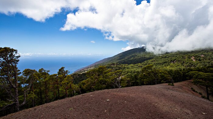 Wandergebiet El Pinar auf El Hierro | © Sunhikes Wandergebiet El Pinar auf El Hierro | © Sunhikes