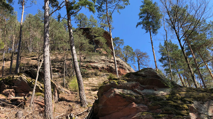 Felsformationen bei Obersteinbach in den Nordvogesen | © Sunhikes